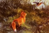 Liljefors, Bruno - Eluding The Fox